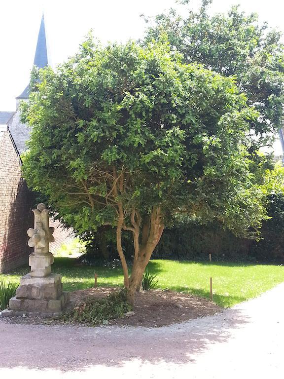 Les Loges D'Etretat Hotel Bagian luar foto